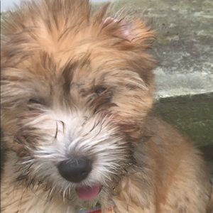 Meet your Posher, Paula